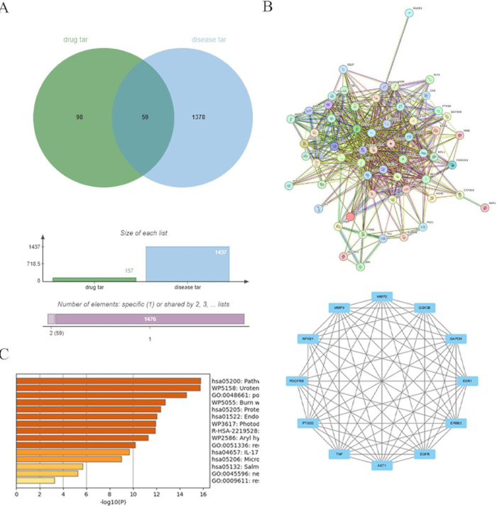 figure-results-2 Venn diagram, network map, and bar chart of drug-disease targets in bioinformatics analysis.