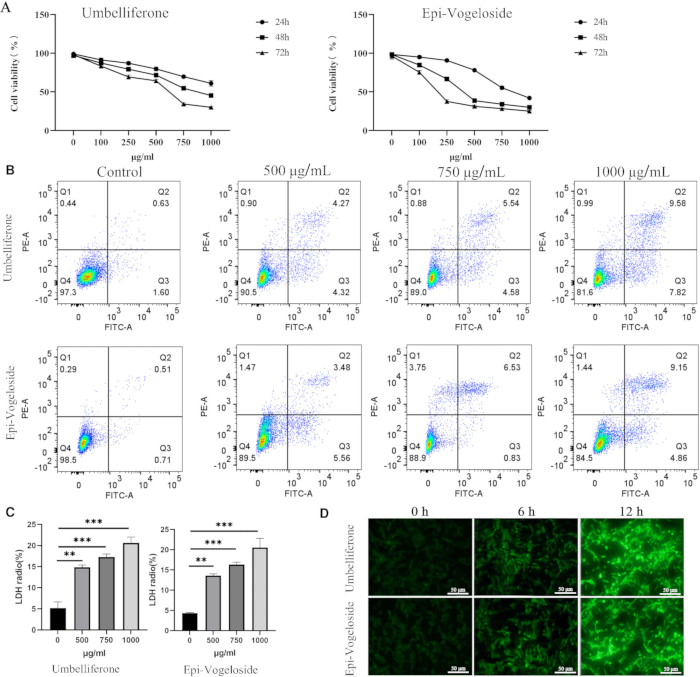 figure-results-3 Cell viability analysis: dosage vs. time graphs, flow cytometry, LDH release, fluorescence microscopy.