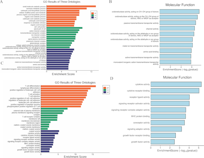 figure-results-5 Gene ontology enrichment bar charts: molecular function analysis, enrichment scores, GO term comparison.