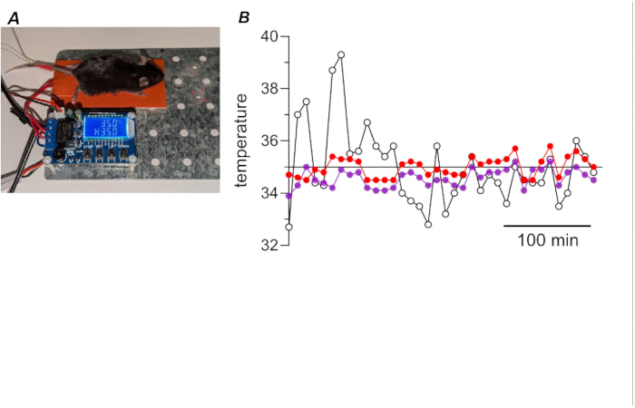 figure-results-1 Mouse temperature control experiment; data graph showing temperature vs. time over 100 mins.