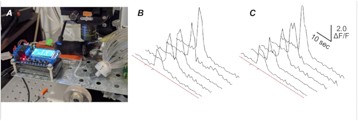 figure-results-2 Experimental setup for optical excitation with transient absorption results, fluorescence analysis.
