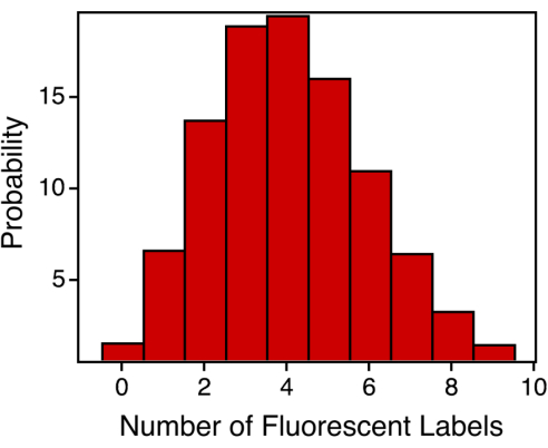 figure-results-4 figure-results-4