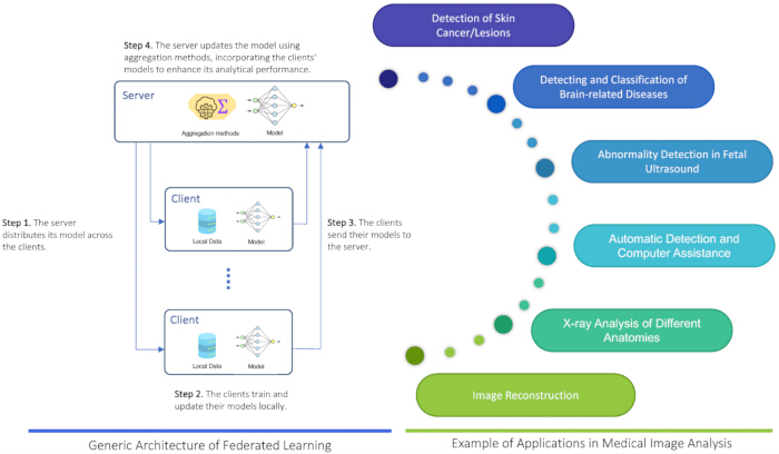 Federated learning architecture diagram; data aggregation and model training, medical image analysis.