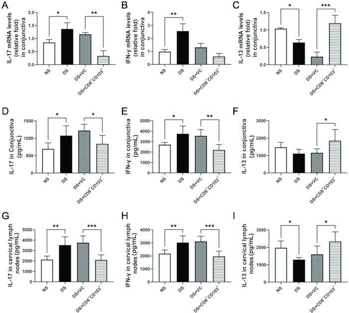 mRNA and protein levels in conjunctiva and lymph nodes; bar graphs show IL-17, IFN-γ, IL-13.