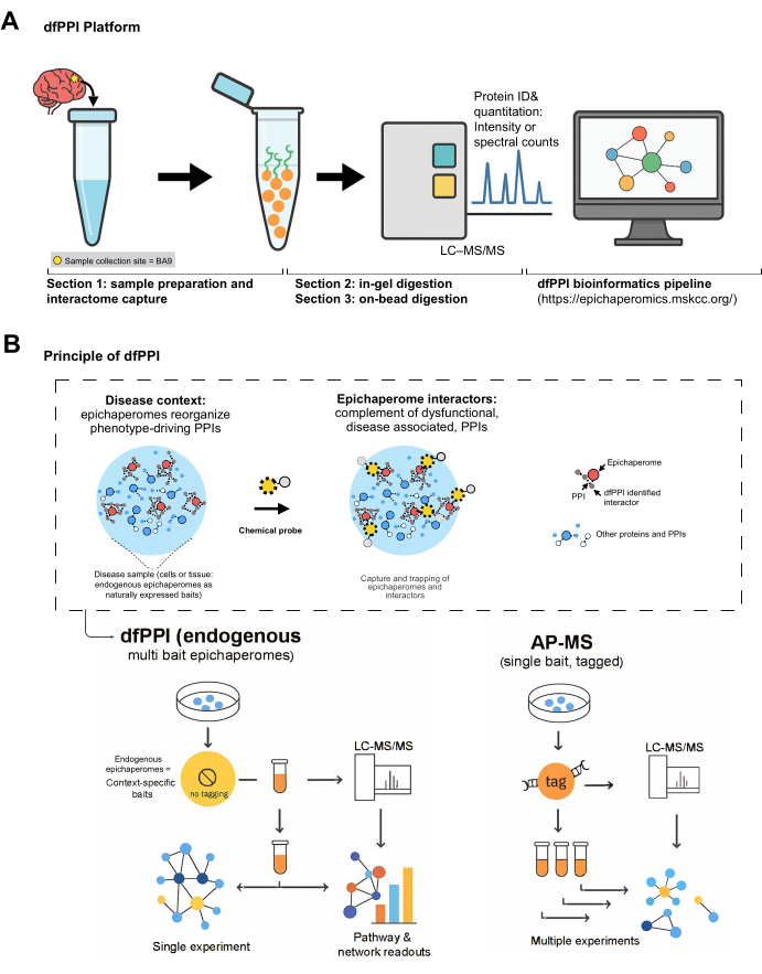 figure-results-1 dfPPI platform diagram: Interaction capture, LC-MS/MS analysis, bioinformatics for proteomics study.