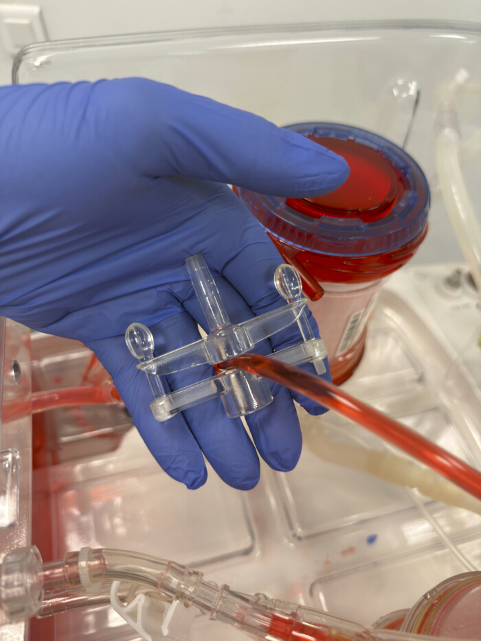 Bioreactor setup with blue gloved hand, fluidic pathway, cell culture process, red fluid interaction.