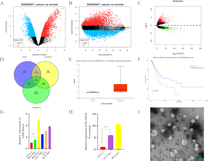 figure-results-2 Gene expression analysis; Includes volcano plot, Venn diagram, box plot, survival curve, bar graph.