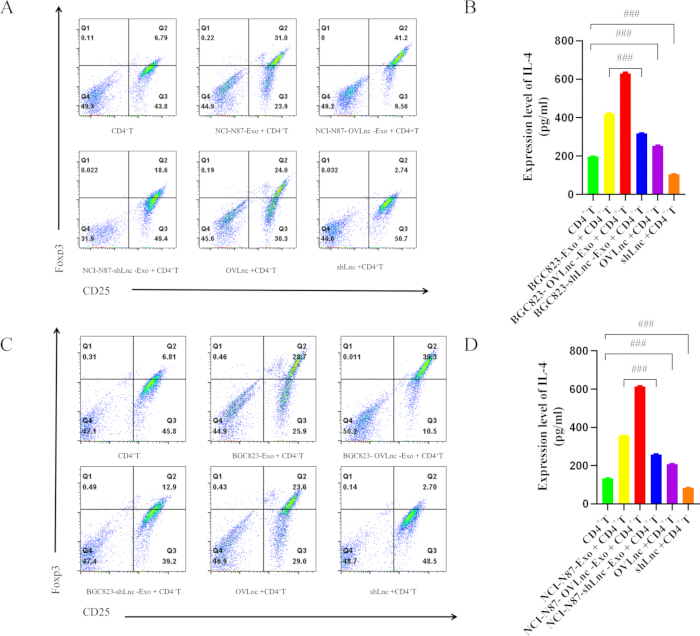 figure-results-3 Flow cytometry and bar chart showing CD25, FOXP3, and IL-4 expression levels in T cells.