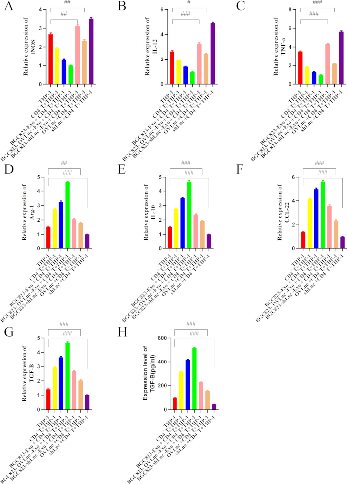 figure-results-4 Gene expression analysis bar charts showing relative levels of iNOS, IL-1β, TNF-α, TGF-β.
