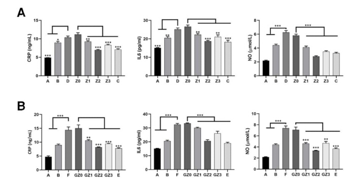 Bar graphs analyzing CRP, IL-6, NO levels; statistical comparison; experimental group results.