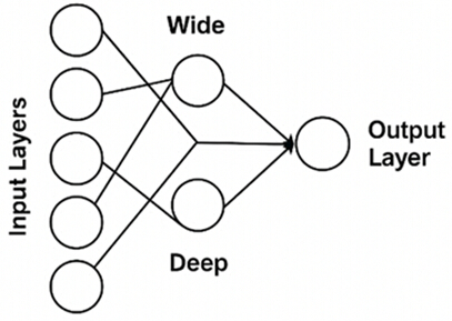 figure-protocol-5 Neural network diagram; shows wide and deep input to output layers, illustrating architecture.