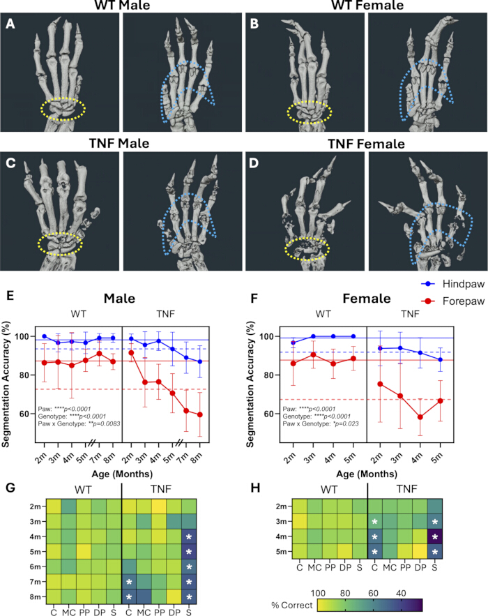 figure-results-4 figure-results-4