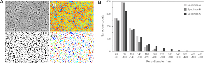 figure-results-2 Microscopy image and pore diameter chart; analyze nanopore counts and distributions in specimens.
