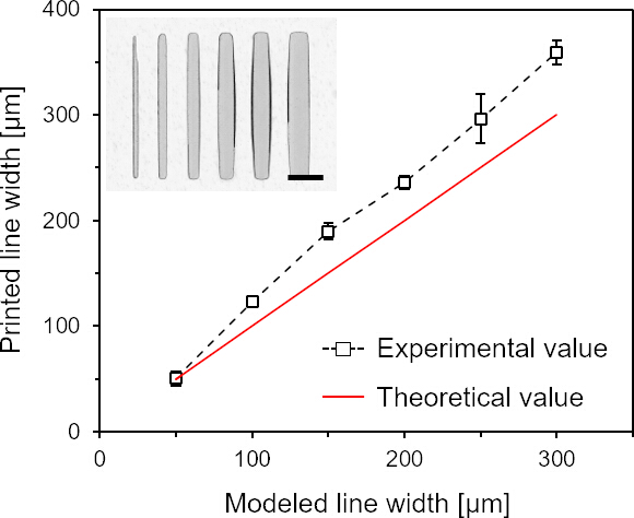 figure-results-4 Printed line width vs. modeled width; includes experimental value plot with theoretical line, chart.