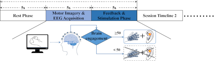 Motor imagery diagram; EEG acquisition, brain engagement, feedback phases in session timeline.