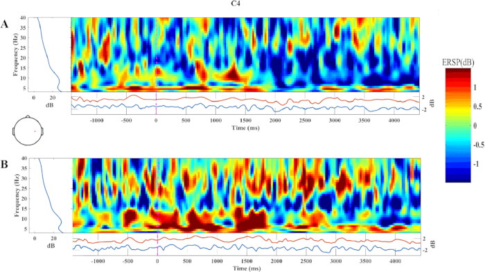 Electrophysiological data analysis, ERSP results in spectral time-frequency plots, EEG experiment.