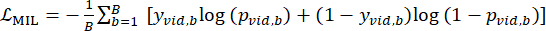 MIL loss function formula, equation for machine learning, classification model evaluation.
