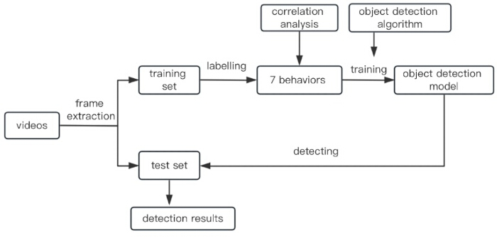 figure-protocol-1 figure-protocol-1