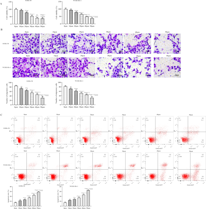 Cell viability and apoptosis analysis; bar graphs, microscopy images, and flow cytometry charts shown.