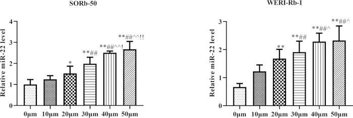 Relative miR-22 levels bar chart; cell response comparison at varying concentrations in SORb-50, WERI-Rb-1.