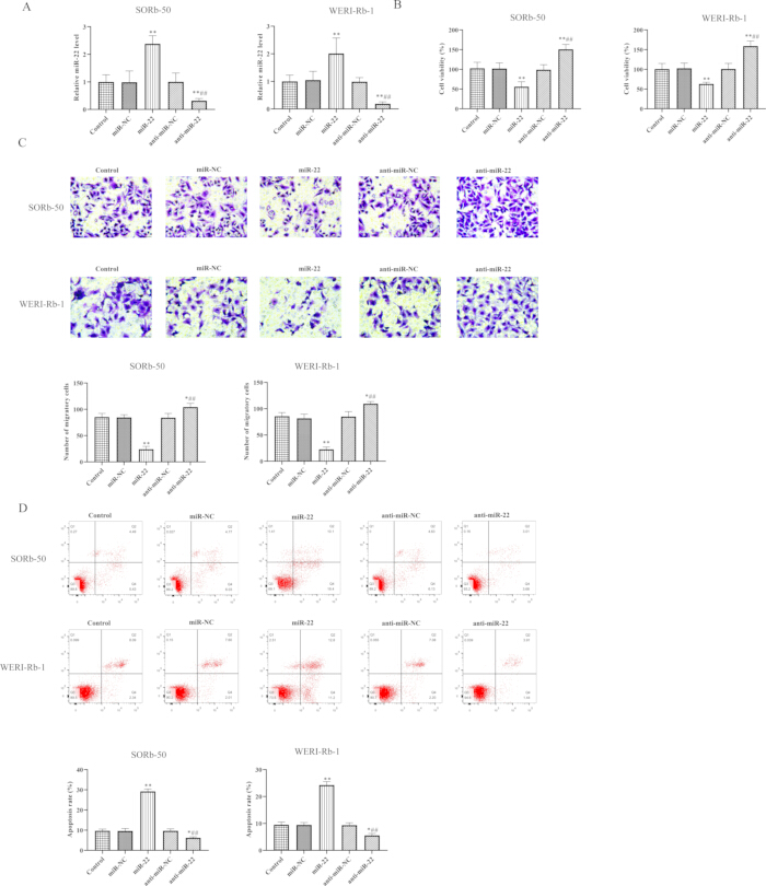 Bar, scatter, and microscope charts analyze gene expression and cell apoptosis across different treatments.