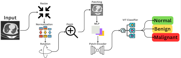 CT image processing workflow; diagram with steps: resize, normalize, zoom, classify tumors.