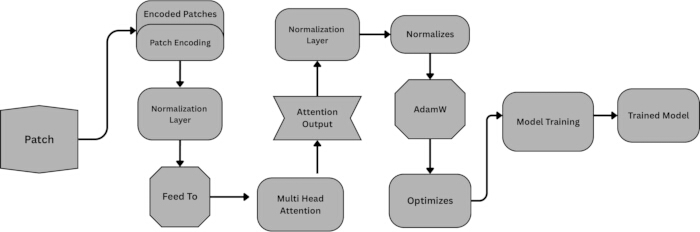 Vision Transformer process diagram with patch encoding, multi-head attention, and model training.