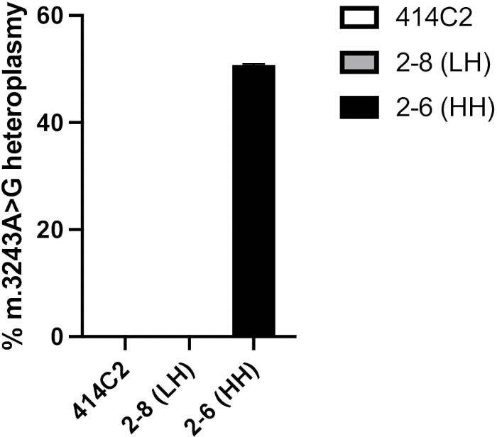 Bar chart of m.3243A>G heteroplasmy levels; 2-6 (HH) shows highest percentage.