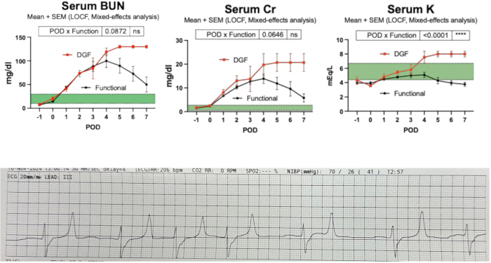 Serum BUN, Cr, K graphs in mixed-effects analysis; ECG plot of cardiac function.