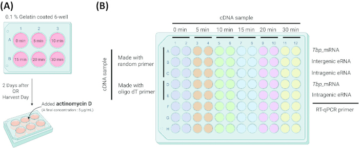 figure-protocol-1