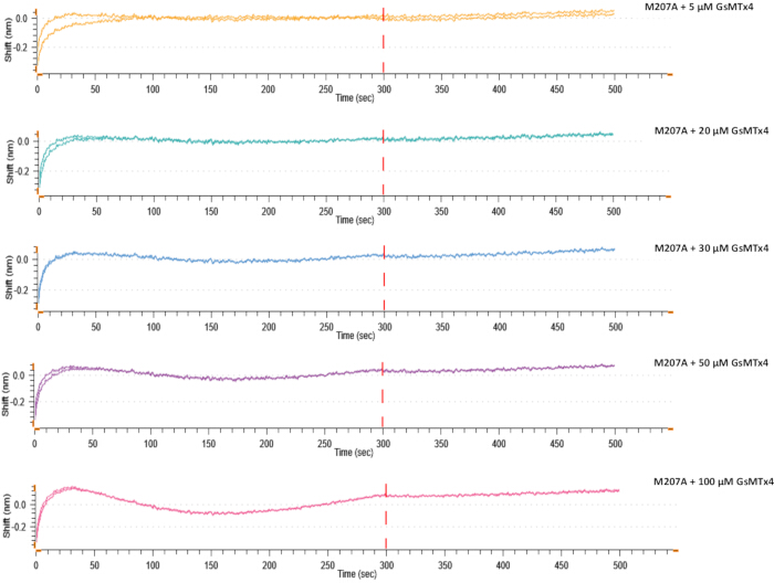 figure-results-7 Protein interaction kinetics graph; SPR sensorgrams for M207A with GsMTx4 at varying concentrations.