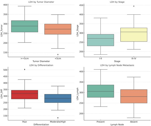 LDH levels by tumor size, stage, differentiation, lymph node status; box plots for cancer analysis.