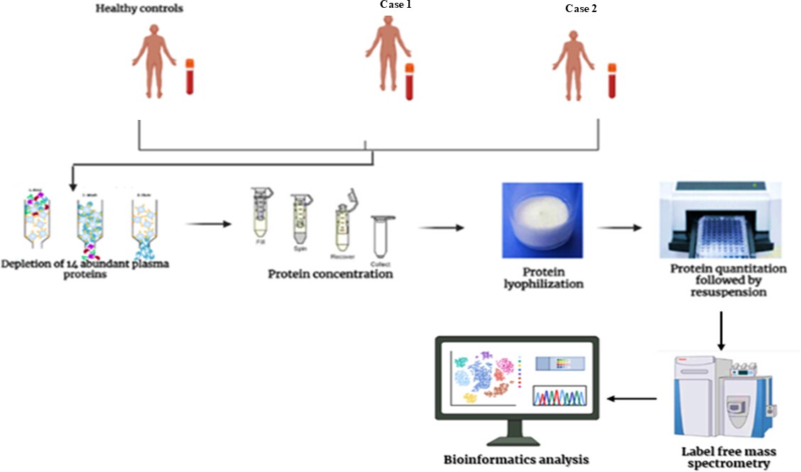 A Comprehensive Workflow for Plasma Proteomics by Mass Spectrometry: A ...