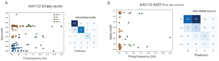 AAV1/2 vector firing frequency vs. spike width graph and precision chart; gene expression study.