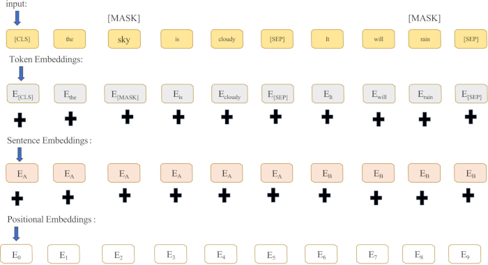 Transformer architecture diagram; token, sentence, positional embeddings in NLP sequence modeling.