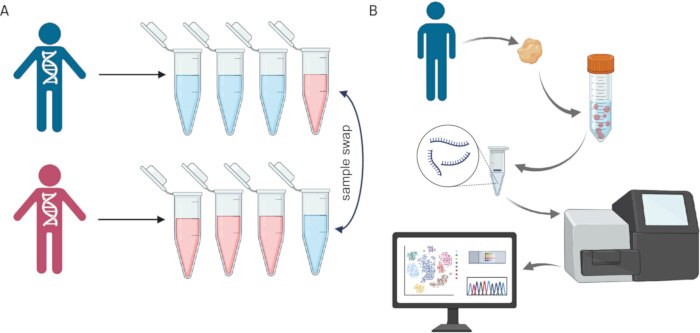 figure-results-1 DNA sample preparation diagram with workflow for analysis and sequencing using laboratory equipment.