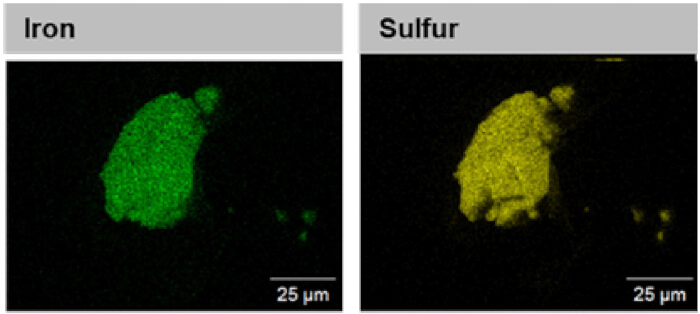 Iron and sulfur elemental distribution via spectroscopic imaging, 25 μm scale, microscopy results.