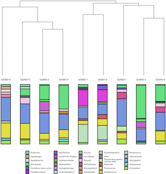 Hierarchical clustering of microbial populations; stacked bar chart; diversity analysis.
