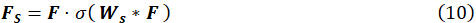 Neural network equation, Fs=F·σ(Ws*F), formula for scientific computation studies.