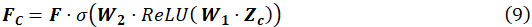 Equation showing neural network function for computational analysis with ReLU activation.