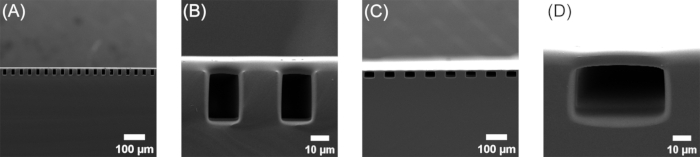 figure-results-2 Scanning electron microscope images of microstructures, scale bars at 100 µm and 10 µm for comparison.