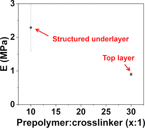 figure-results-3 Graph showing static equilibrium; tensile modulus (E) vs. prepolymer:crosslinker ratio; analysis result.