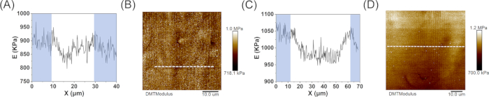 figure-results-4 Elastic modulus graph and DMT modulus map; nanomechanical analysis, spectroscopy results.