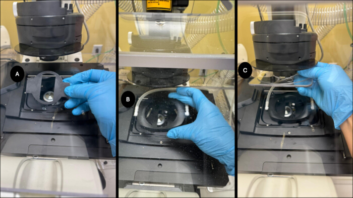 figure-results-2 Microscope setup for sample preparation; step-by-step method; scientific experiment process.