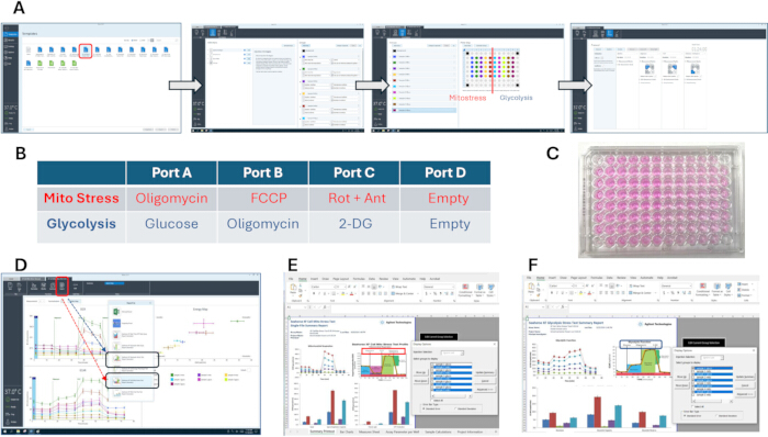Metabolic assay workflow diagram; experiment setup with reagents table, analysis software, and results.