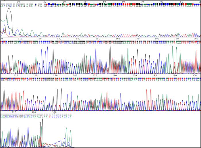 figure-results-2 DNA sequencing chromatogram, base pair analysis, results display, genetic research, sequence data visualization.