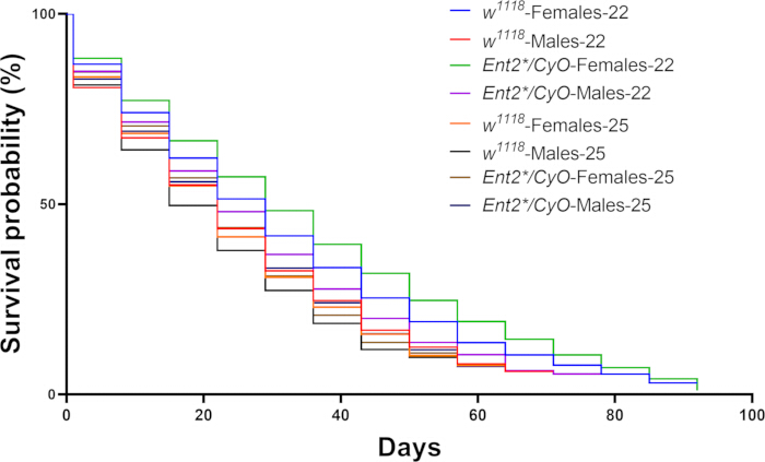 figure-results-4 Survival probability graph; Kaplan-Meier plot; Drosophila lifespan comparison; genetic study results.