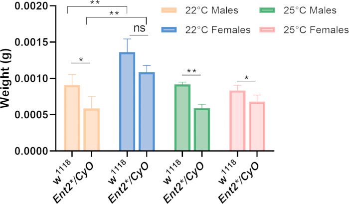 figure-results-6 Fly weight comparison chart at different temperatures; statistical significance shown with asterisks.