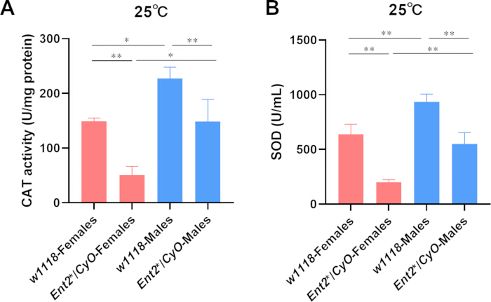 figure-results-7 Catalase and SOD activity bar graphs; enzyme activity comparison of Drosophila genotypes at 25°C.