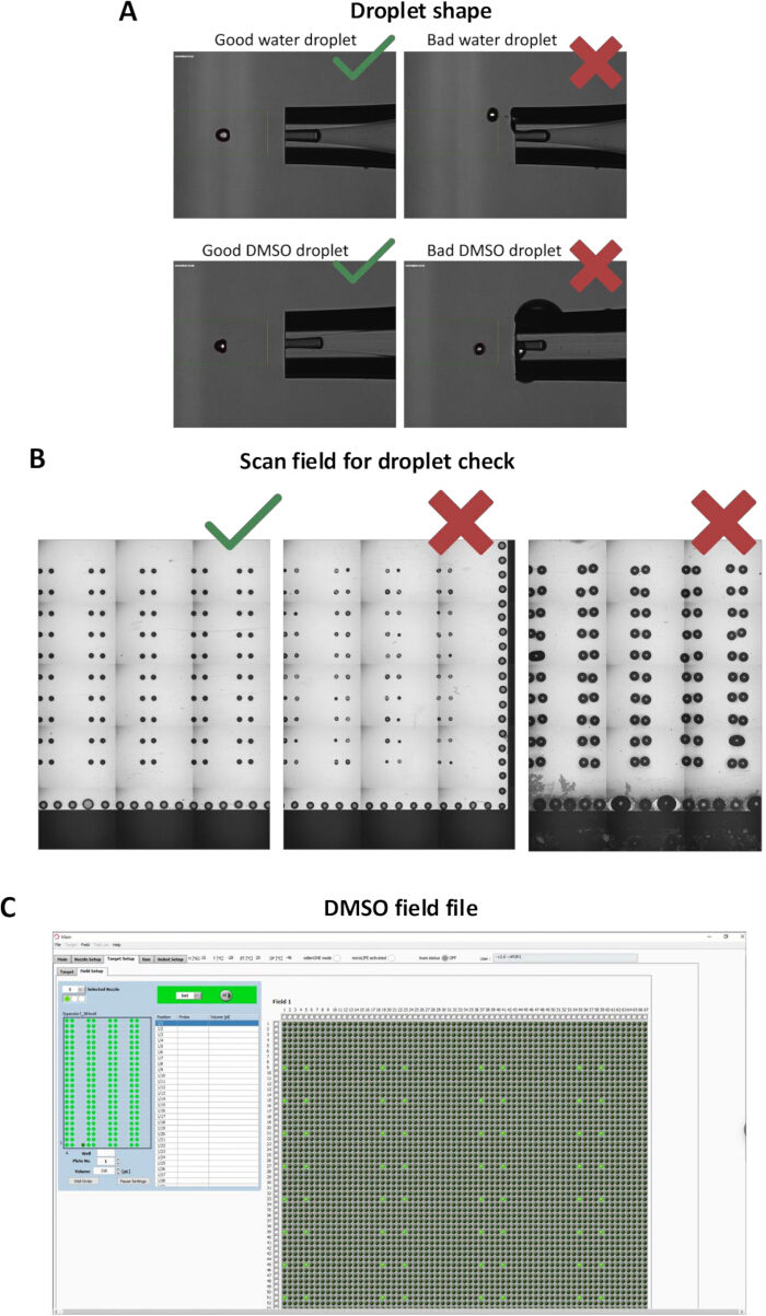 figure-results-4 Droplet analysis; diagram; good vs bad droplet shapes and scan field correctness; DMSO field file.